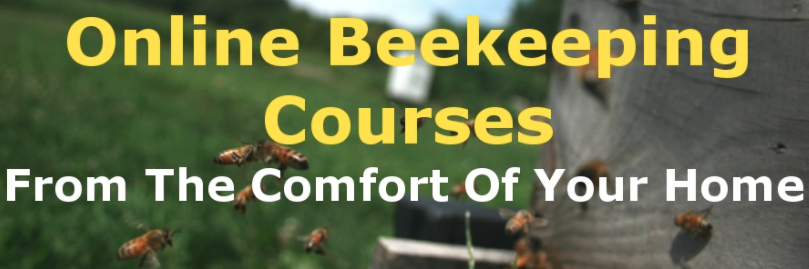 Online Beekeeping Course